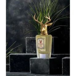 Stricker Eau de Parfum Spray von Pana Dora Sweden