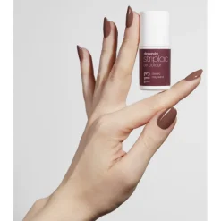 Striplac UV Colour UV Nagellack von Alessandro