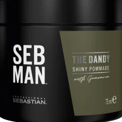 Styling The Dandy Light Hold Pomade von Sebastian