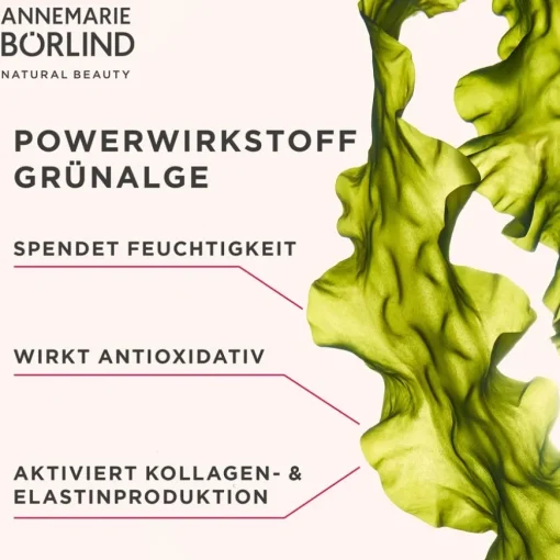 SYSTEM ABSOLUTE  Glättende Augencreme von ANNEMARIE BÖRLIND
