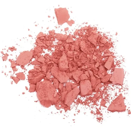 Teint Powder Blush von T. LeClerc