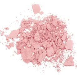 Teint Powder Blush von T. LeClerc