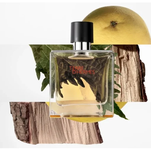 Terre d’Hermès Parfum Spray von Hermès