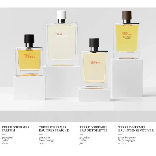Terre d’Hermès Parfum Spray von Hermès