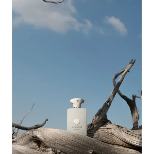 The Odyssey Collection Eau de Parfum Spray Decision von Amouage