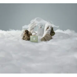 The Odyssey Collection Eau de Parfum Spray Decision von Amouage