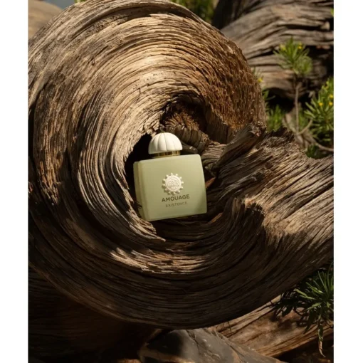 The Odyssey Collection Eau de Parfum Spray Existence von Amouage