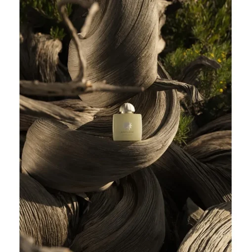 The Odyssey Collection Eau de Parfum Spray Existence von Amouage
