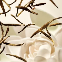 The Ritual Of Karma Body Lotion Mousse von RITUALS