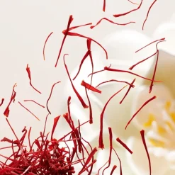 The Ritual Of Namaste Anti-Ageing Eye Concentrate von RITUALS