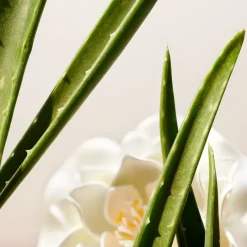 The Ritual Of Namaste Clarifying Facial Toner von RITUALS