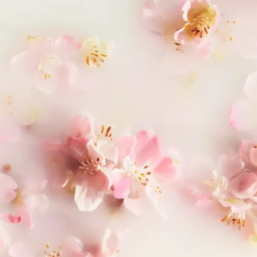 The Ritual Of Sakura Car Air Freshener von RITUALS