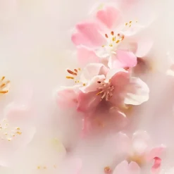 The Ritual Of Sakura Fragrance Sticks von RITUALS