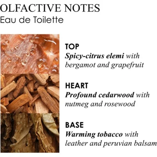 Tobacco Absolute Eau de Toilette Spray von Molton Brown