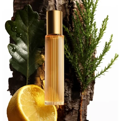 Tom Ford Signature Costa Azzurra Parfum