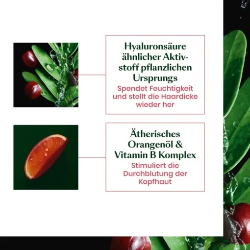 Tonucia Anti-Age Filler Maske von René Furterer