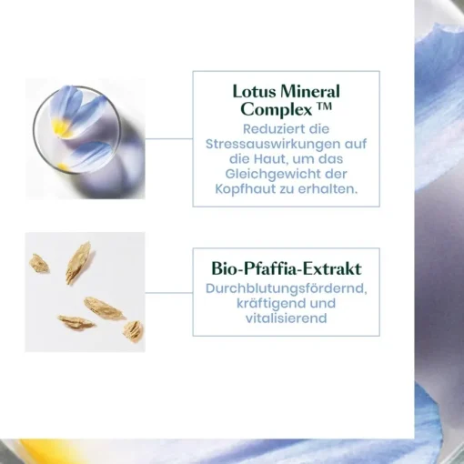 Triphasic Reactional Kur bei temporärem Haarausfall von René Furterer