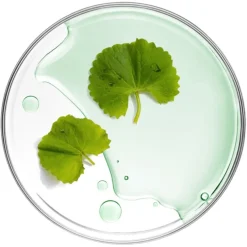 Tuchmasken Cicaluronic Water Fit Mask von Mizon