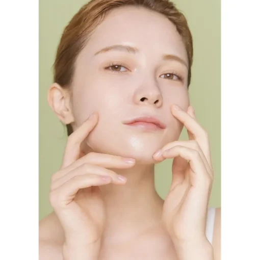 Tuchmasken Cicaluronic Water Fit Mask von Mizon