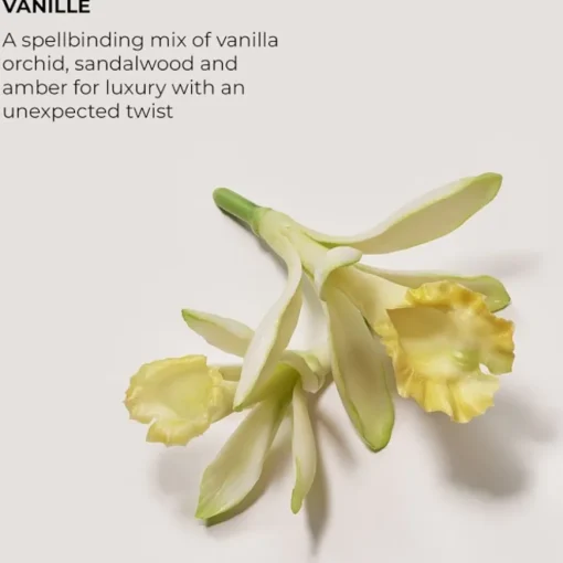 Vanille Eau de Parfum Spray von Laura Mercier