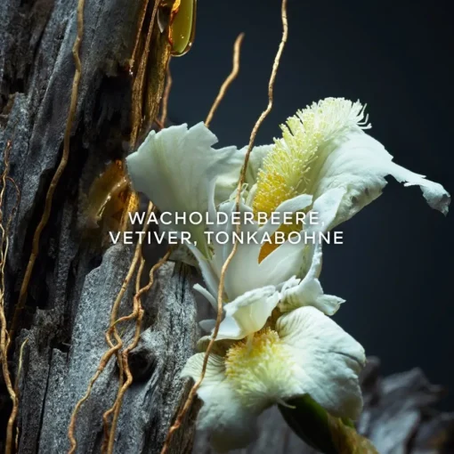 Vetiver Parfum von GUERLAIN