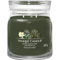 Votivkerze im Glas Silver Sage + Pine von Yankee Candle