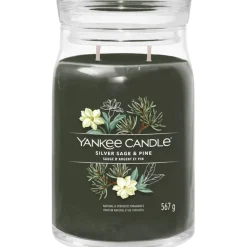 Votivkerze im Glas Silver Sage + Pine von Yankee Candle