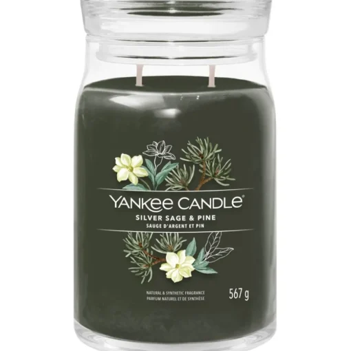 Votivkerze im Glas Silver Sage + Pine von Yankee Candle