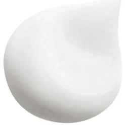 Waschen & Entwirren Revitalizing Smoothing Shampoo with Macadamia oil von HAIR RITUEL by Sisley