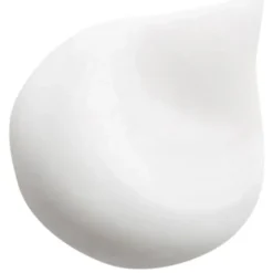 Waschen & Entwirren Revitalizing Volumizing Shampoo with Camellia oil von HAIR RITUEL by Sisley