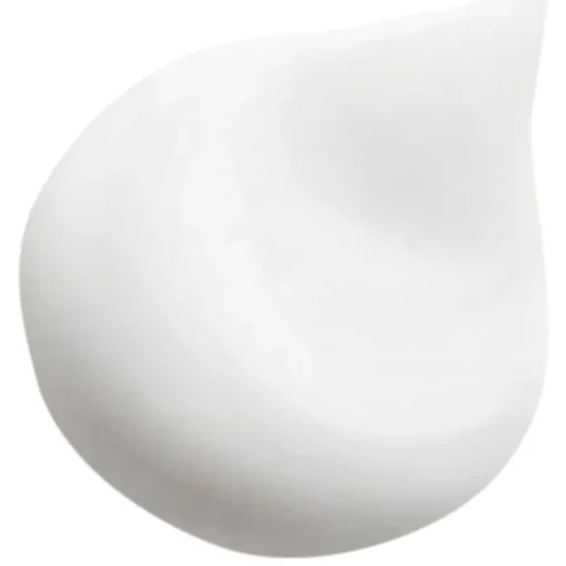 Waschen & Entwirren Revitalizing Volumizing Shampoo with Camellia oil von HAIR RITUEL by Sisley