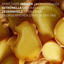 Weleda Aroma Shower Energy