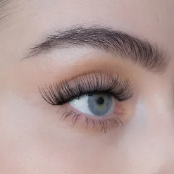 Wimpern Pro Lashes Iconic von Sweed