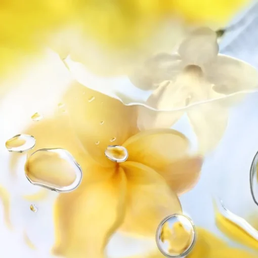 Ô de Lancome Eau de Toilete Spray Ô Zenith von Lancôme