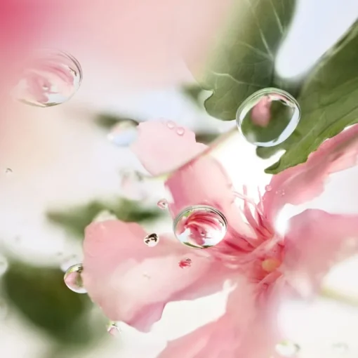 Ô de Lancome Eau de Toilette Spray Ôver The Top von Lancôme