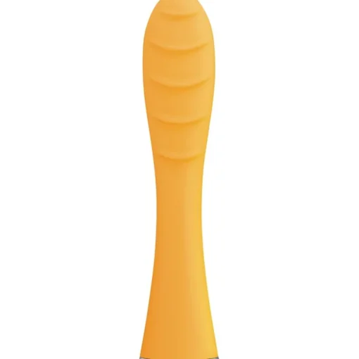 Zahnbürstenköpfe Issa Mini Hybrid Brush Head von Foreo