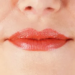 zao Refill Matte Lipstick