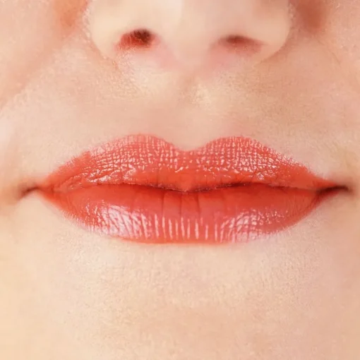 zao Refill Matte Lipstick