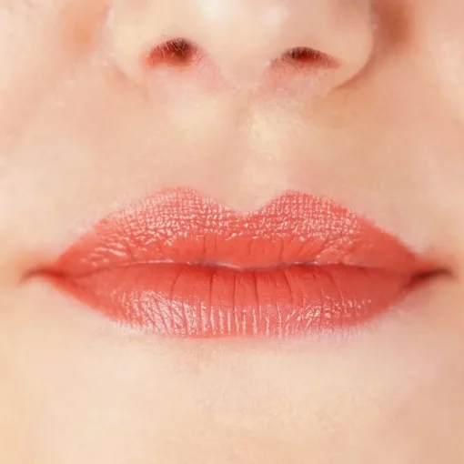 zao Refill Matte Lipstick